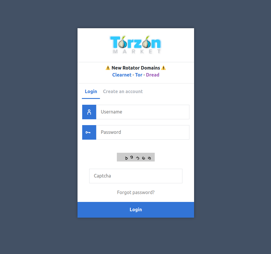 Secure login interface